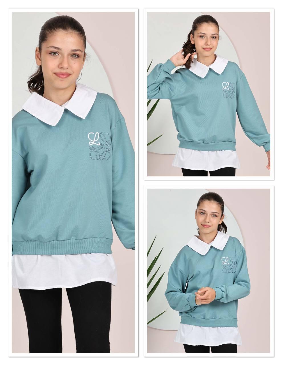 A sweater with collar